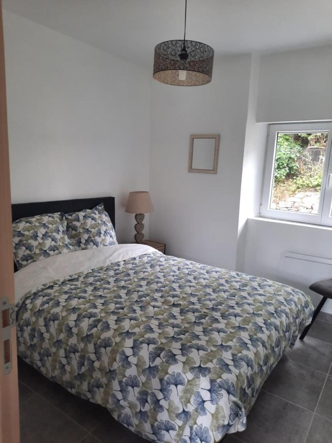 Chez Line Et Pierre: Appartement Spacieux, Lumineux Et Equipe La Bastide-de-Sérou Esterno foto
